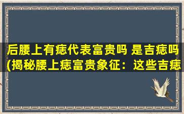 后腰上有痣代表富贵吗 是吉痣吗(揭秘腰上痣富贵象征：这些吉痣让你一步登天)